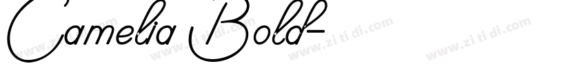 Camelia Bold字体转换 Camelia Bold字体转换